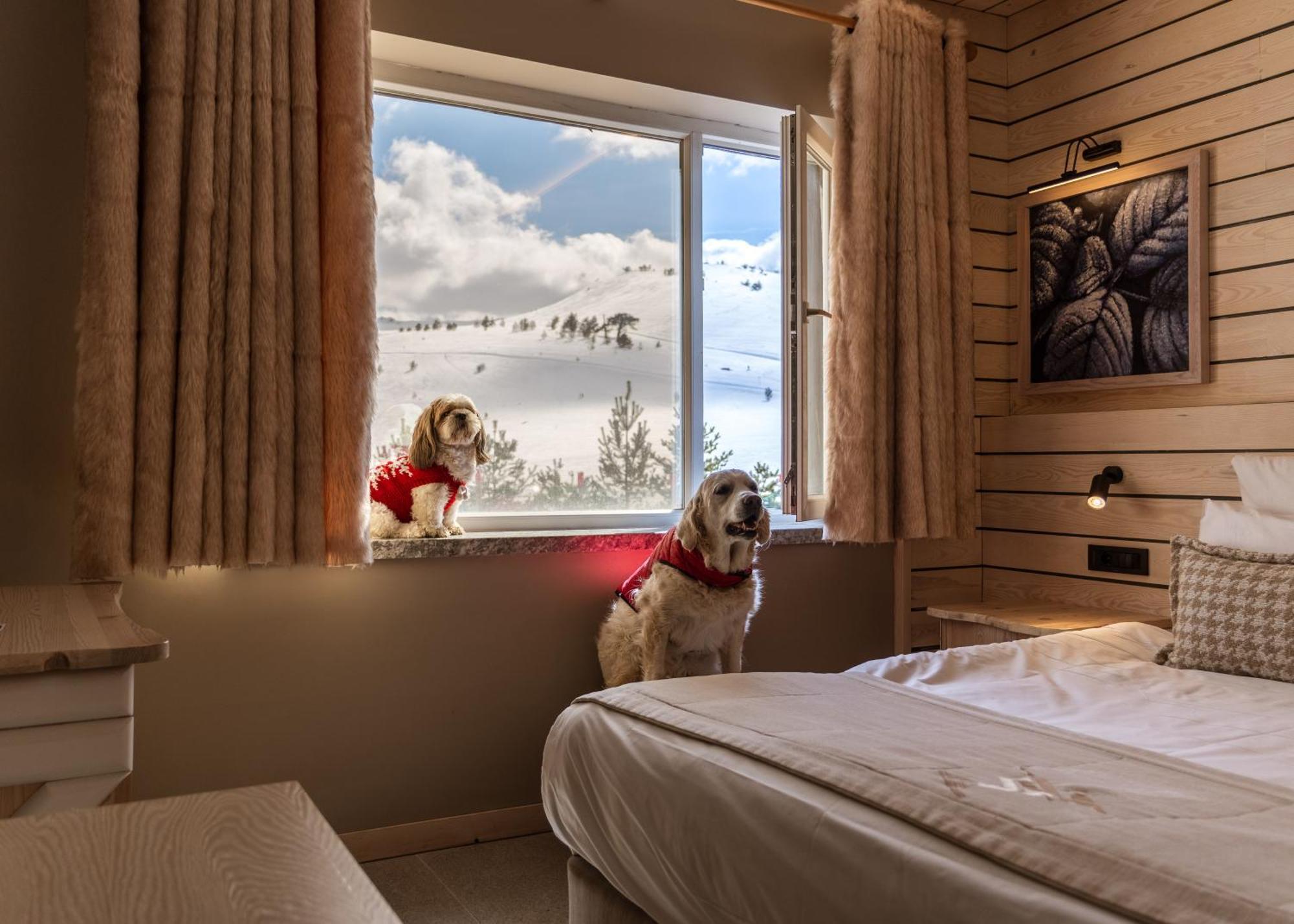 Kartal Hotel Kartalkaya Zewnętrze zdjęcie